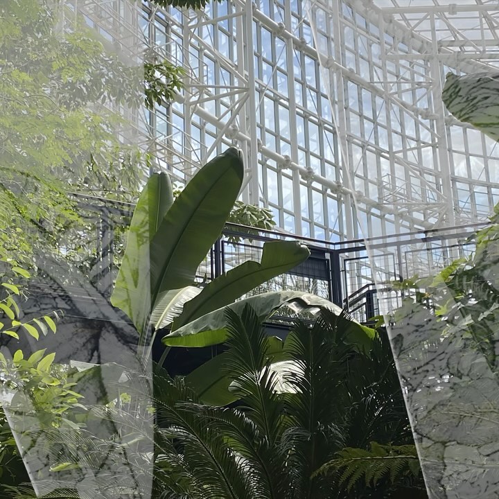 Plantopia — 1 of 4