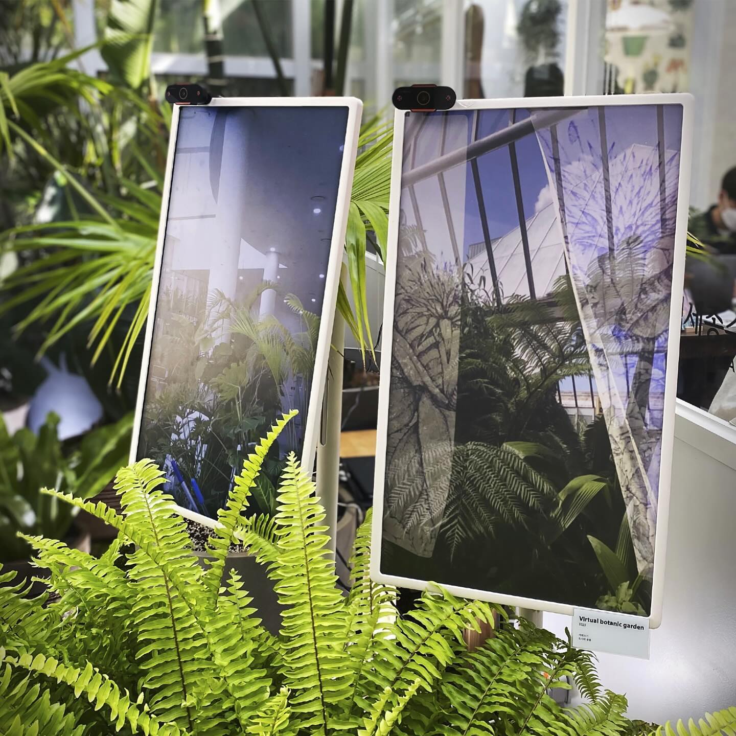 Plantopia — 2 of 4